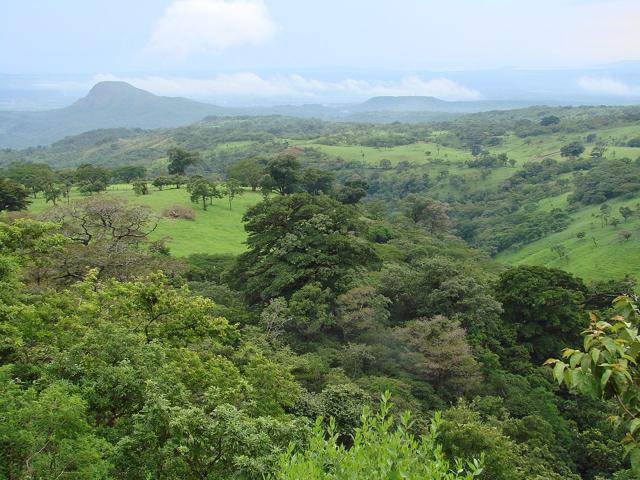 Area de Conservación Guanacaste World Heritage Site